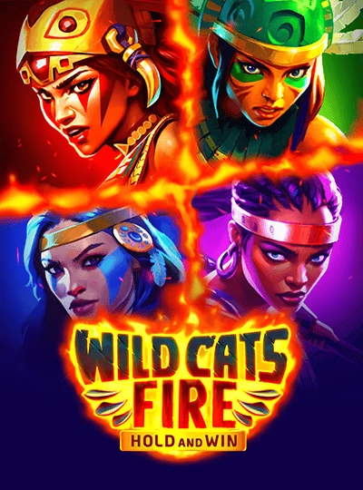 Cricket betting game cover